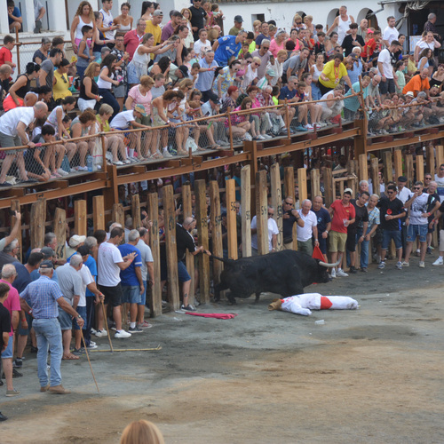 Toros-16-17Nk (10 de 15)
